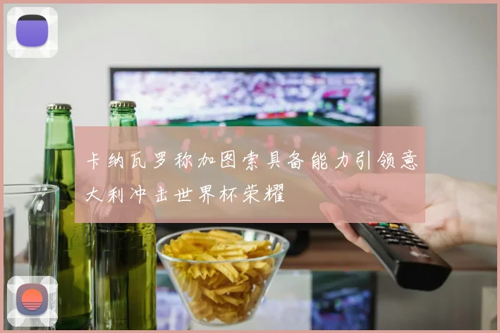 卡纳瓦罗称加图索具备能力引领意大利冲击世界杯荣耀