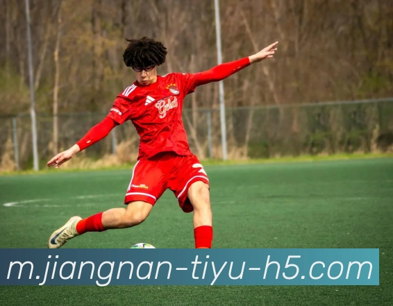 江南体育平台生态图