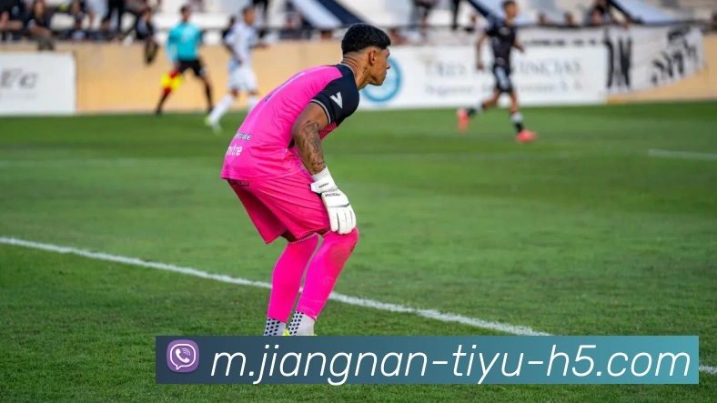 江南体育APP 封面图